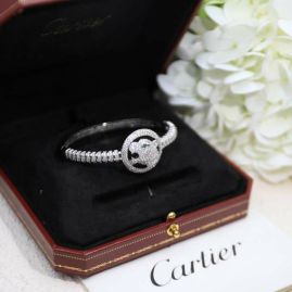 Picture of Cartier Bracelet _SKUCartierbracelet07cly331208